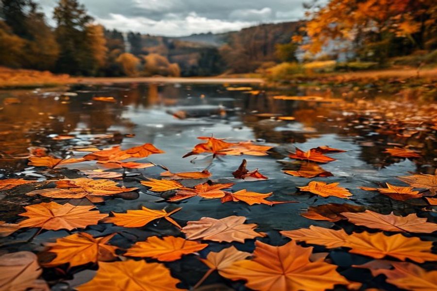 Természetes tó ősszel, színes levelek tükröződnek a vízben