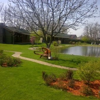 Grădină cu copaci și iaz