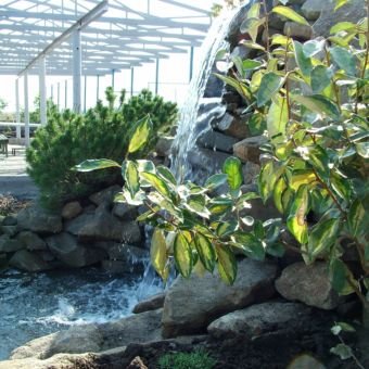 Cascadă decorativă