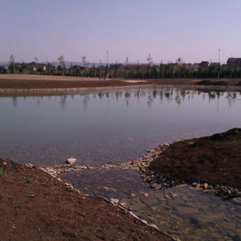 Sistem filtrare detaliu