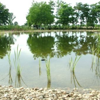 Amenajare peisagistică