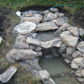 Detaliu iaz cu plante