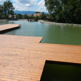 Iaz de înot cu plante