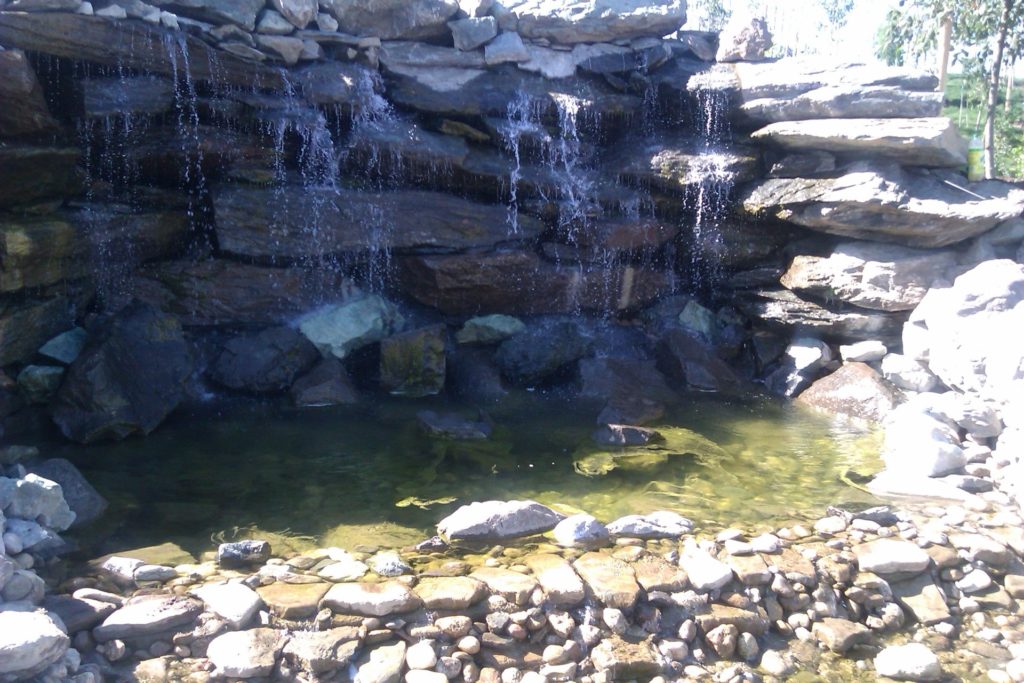 Professional Maintenance