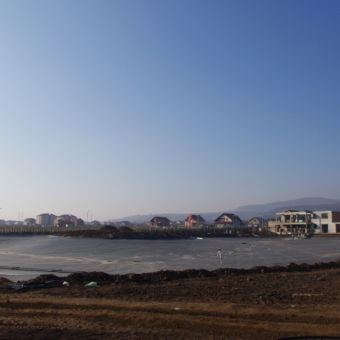 Lac ornamental peisaj