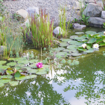 Peisaj cu lac ornamental