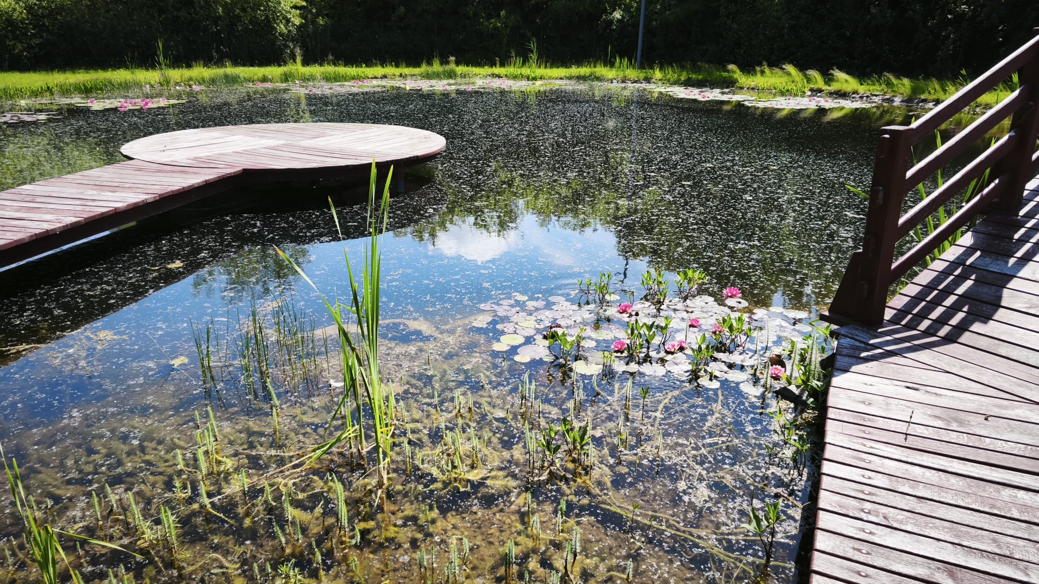 Díszítő tó — Nagykároly