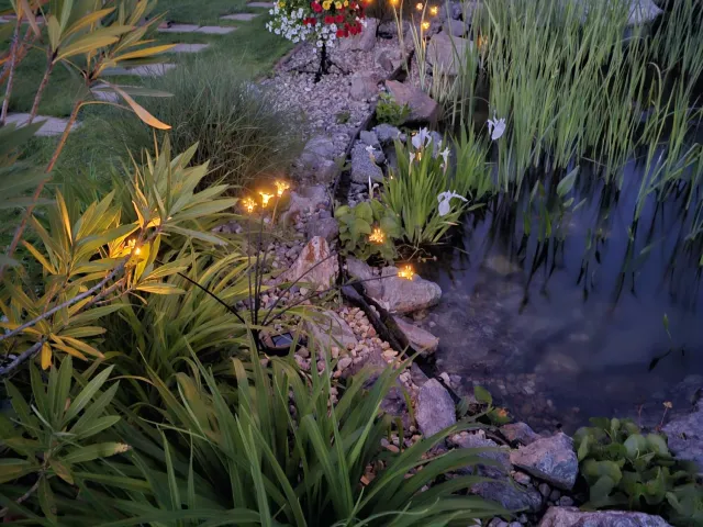 Iaz natural de înot — Sat Luna, Cluj — 1