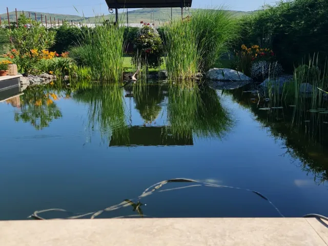 Iaz natural de înot — Sat Luna, Cluj — 5