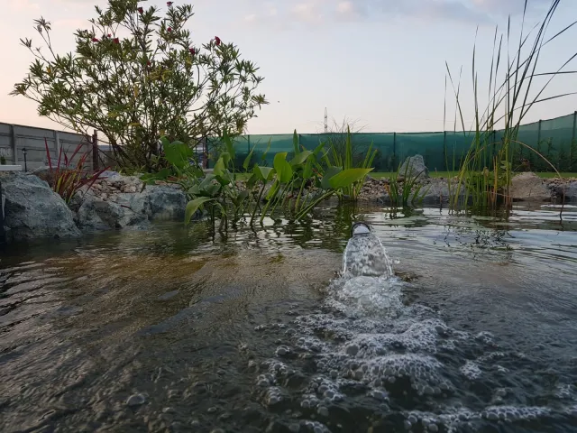 Iaz natural de înot — Sat Luna, Cluj — 6