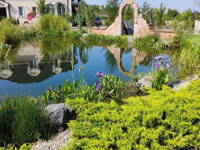 Iaz ornamental cu pârâu și cascade — Oradea — 1