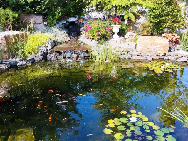 Iaz ornamental cu pârâu și cascade — Oradea — 5