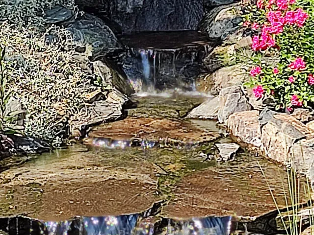 Iaz ornamental cu pârâu și cascade — Oradea — 6