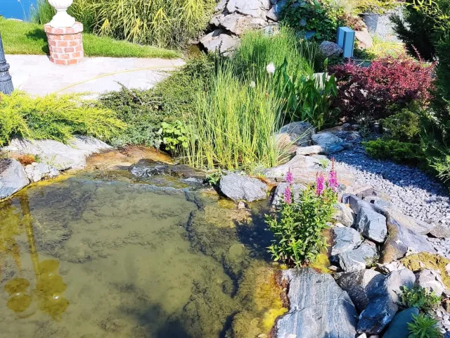 Iaz ornamental cu pârâu și cascade — Oradea — 7