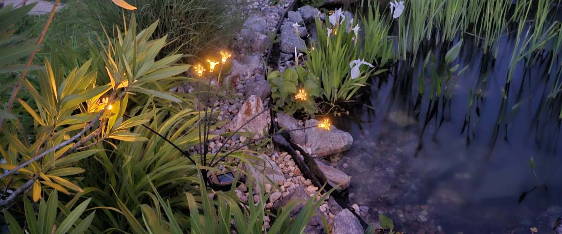 Iaz natural de înot — Sat Luna, Cluj — 1